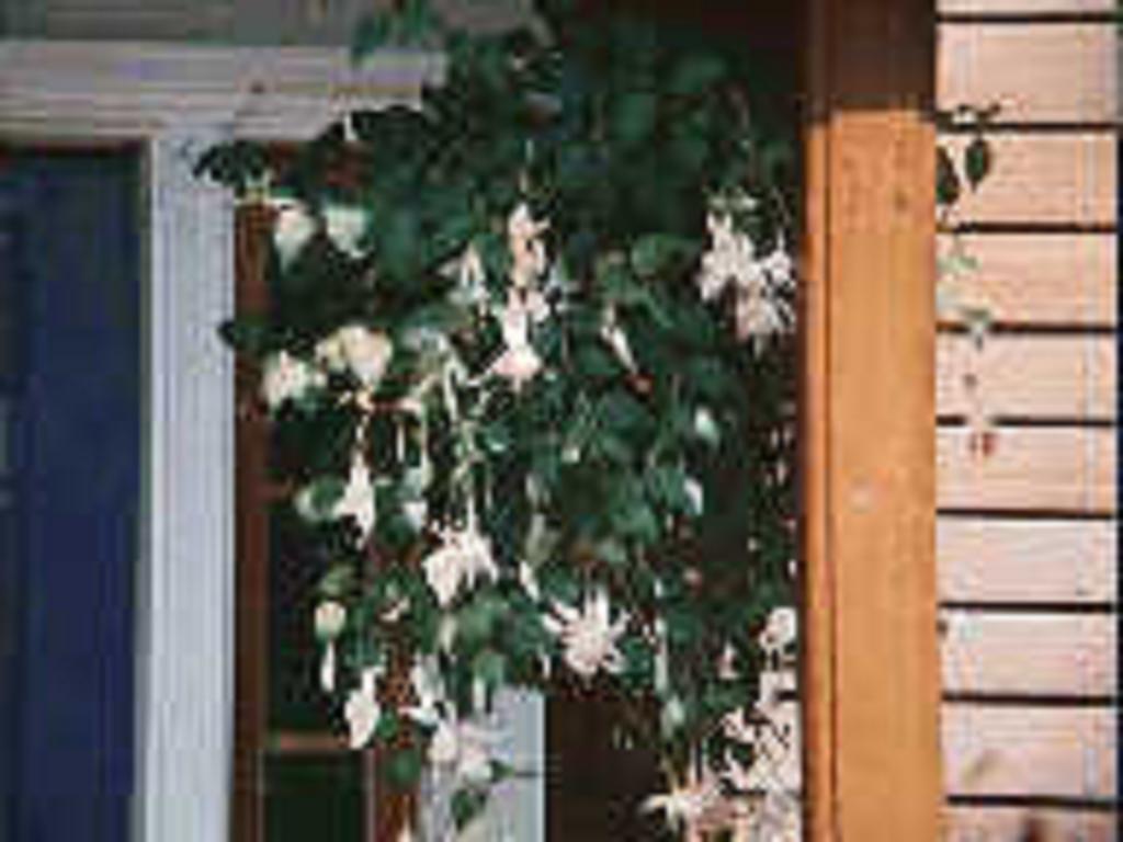 Chesapeake Inn Of Lenox Bagian luar foto